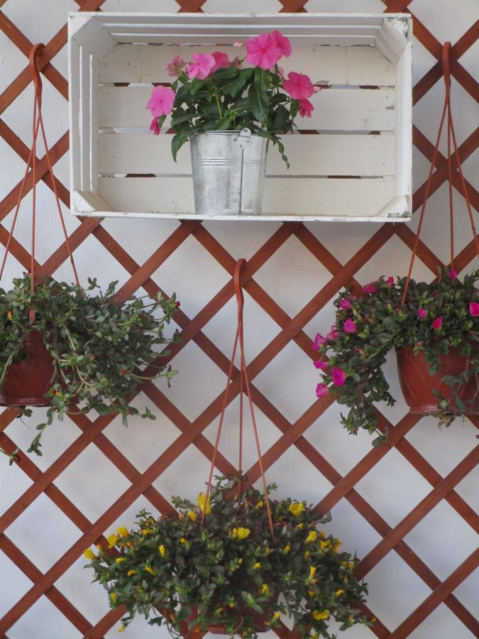 Playa Dei Turchi Bed & Breakfast Реалмонте Екстериор снимка